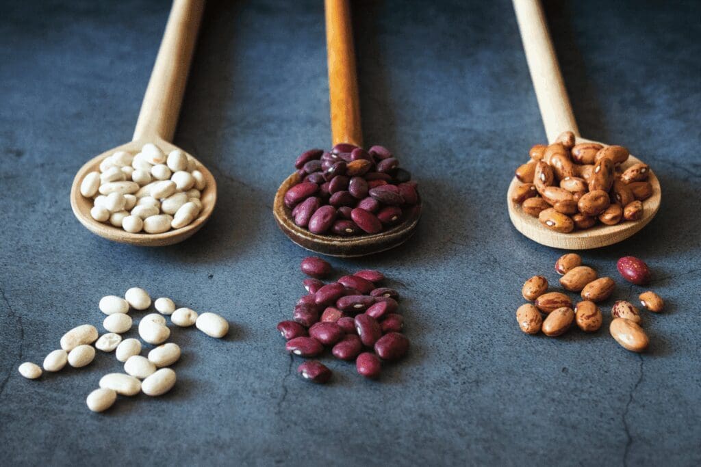 White beans, kidney beans, and borlotti beans on three spoons.