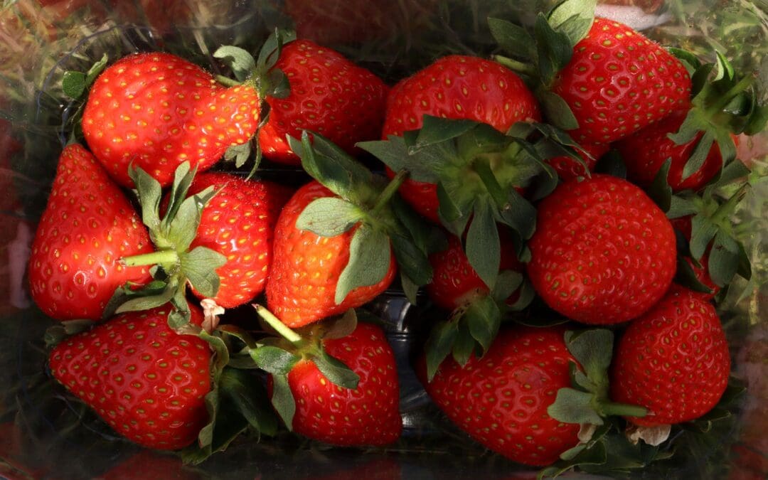 The British Strawberry Season is Here: Why Local Berries Taste Better
