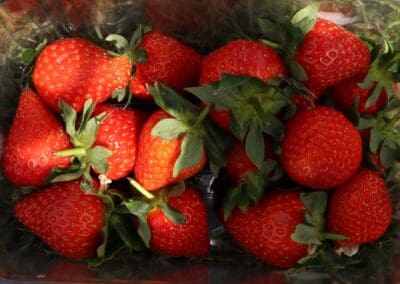 The British Strawberry Season is Here: Why Local Berries Taste Better