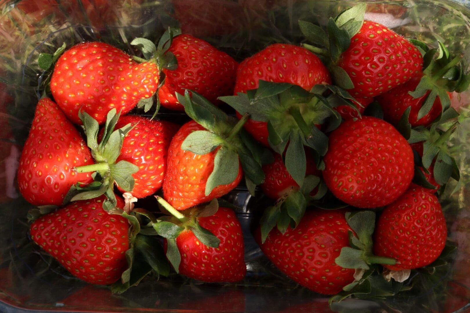IMG_4620f strawberries in a punnet