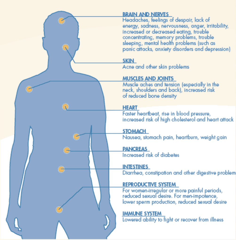 Diagram explaining the effects of cronic stress 