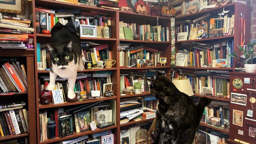 Picture of Dr. Ken Albala's office with edited in picture of his two cats.