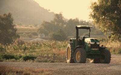 Deconstructing the “Organic” Stamp: What a Practical British Farmer Wishes You Knew
