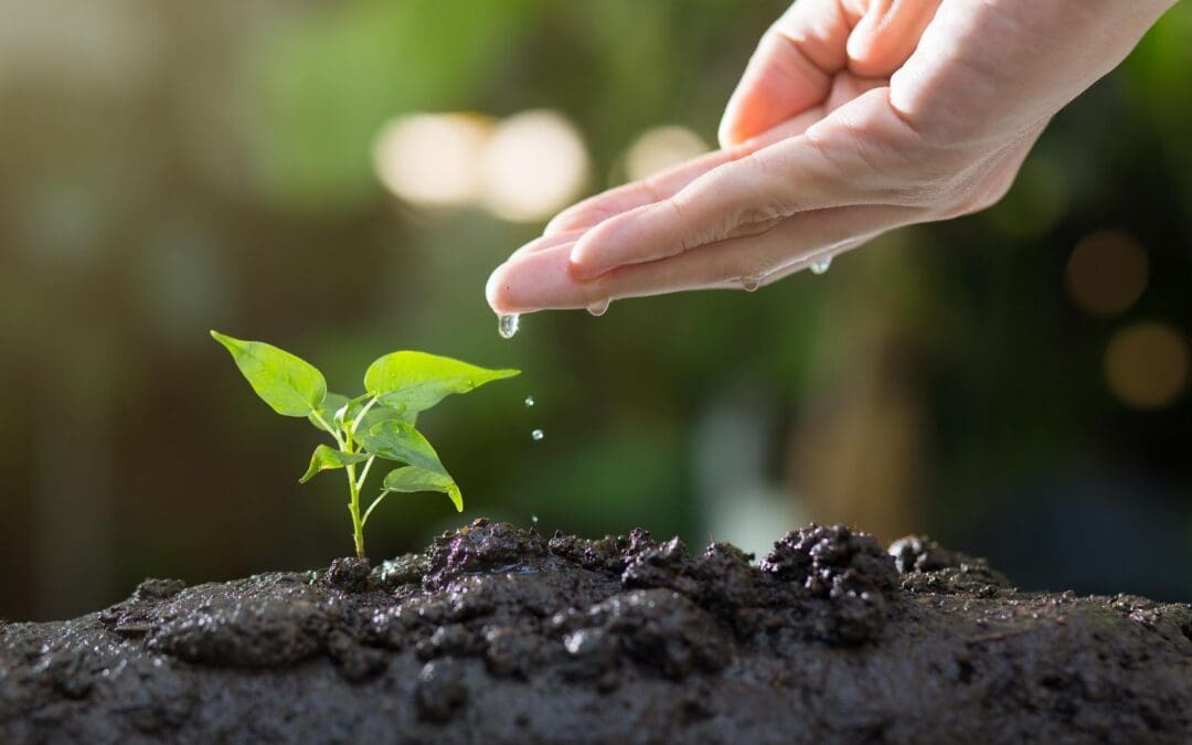 Hand reaching to soil in the ground