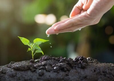 The Soil: “The be all and end all”