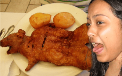 Survival Eating: How Extreme Hunger Rewires Food Disgust