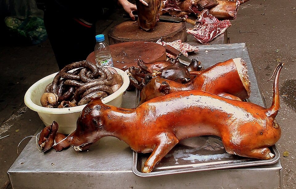 Animal meat lay on a table