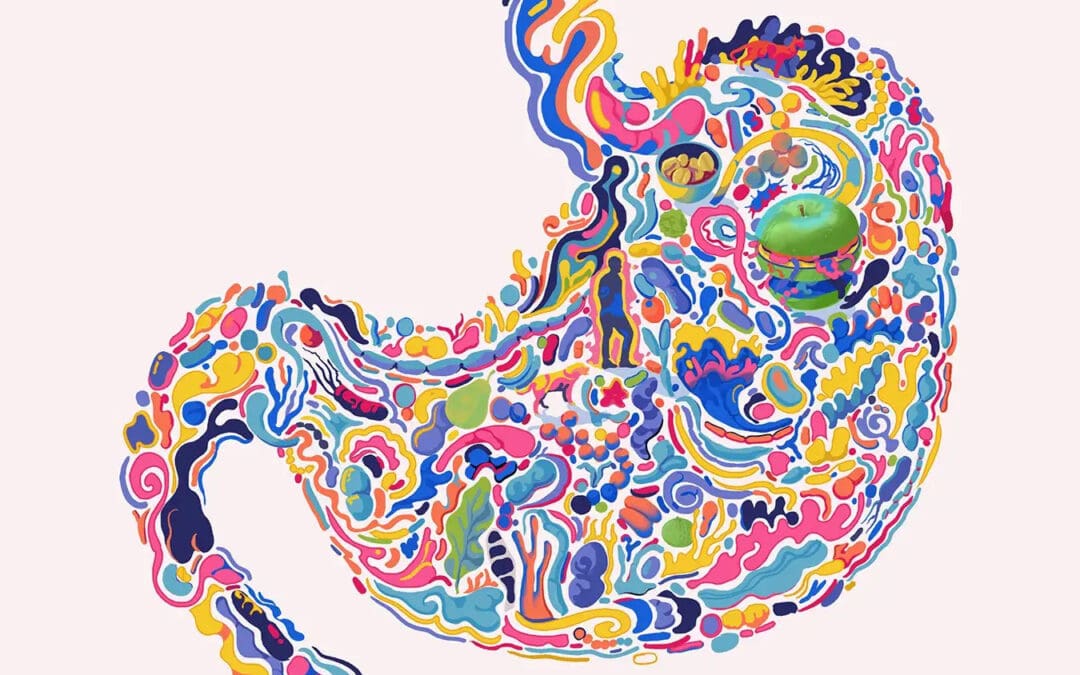 The Ecosystem Within: Why Your Gut is the Next Frontier of Modern Medicine