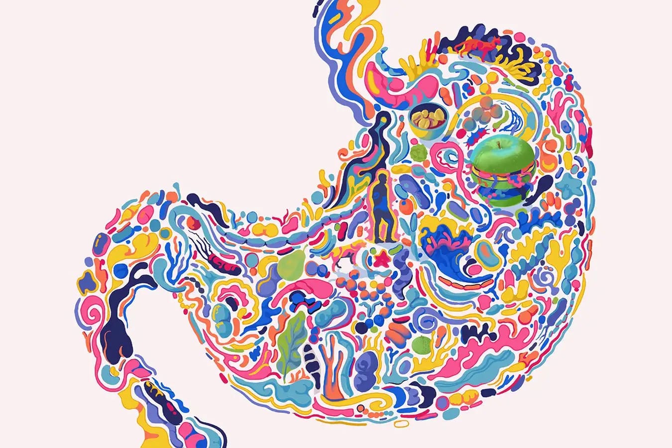 Gut Microbiome Colourful image of gut microbiome