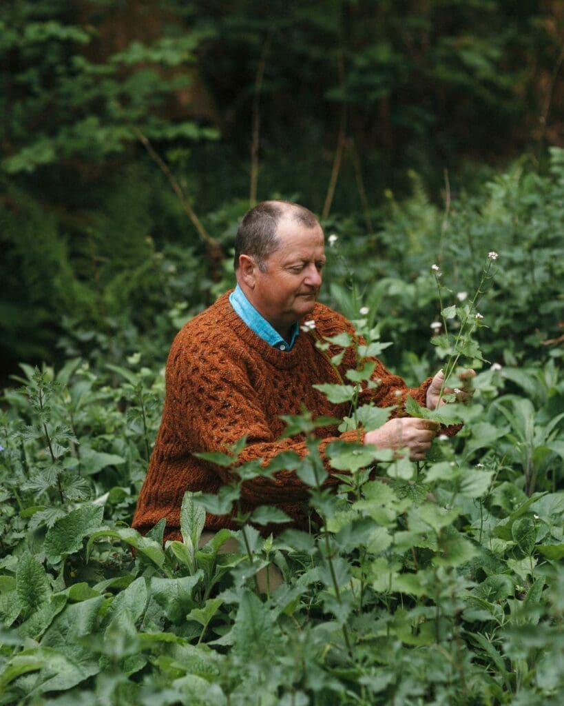 Robin Harford amongst plants foraging
