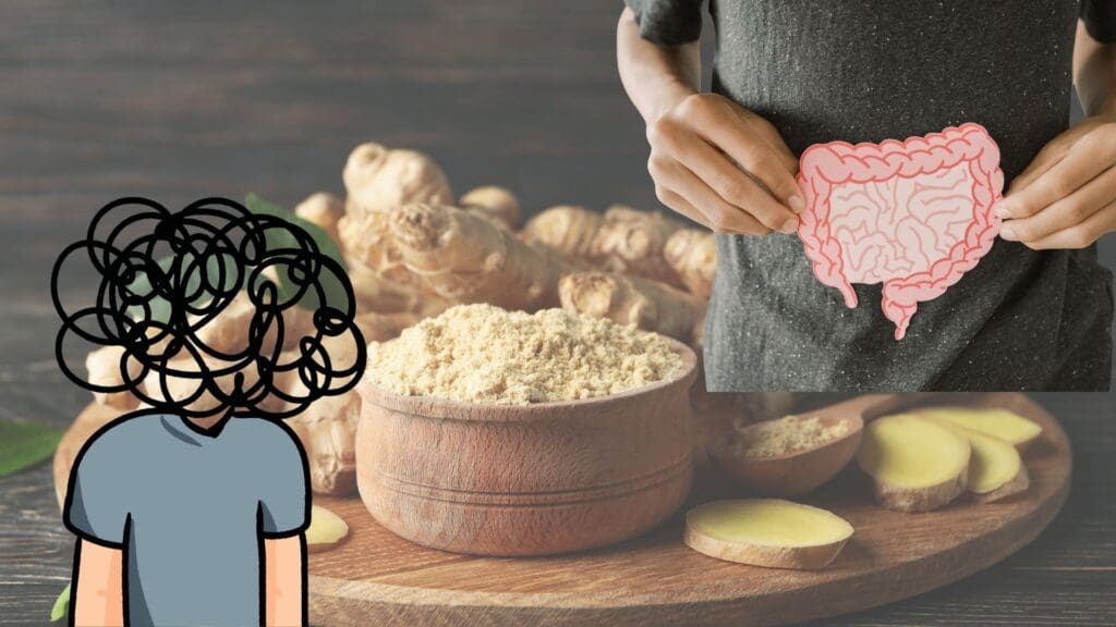 Picture of ginger and ginger powder on the background, on the left side is a drawing of someone stressed and on the right side is someone holding a graphic of gut. 