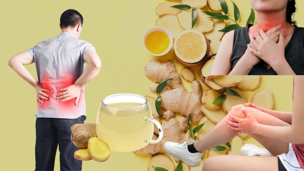 Picture of gingers on the background and people with different symptoms of inflammation including on lower back, knee, and throat.