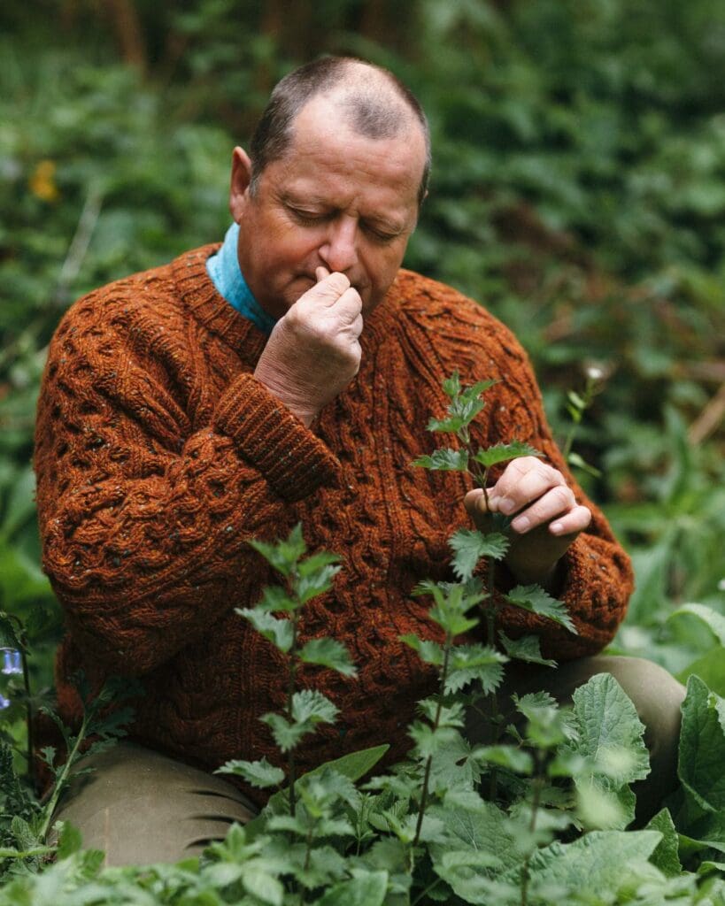 Robin Harford amongst plants smelling nettles